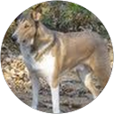 Dorota Szuber profile picture